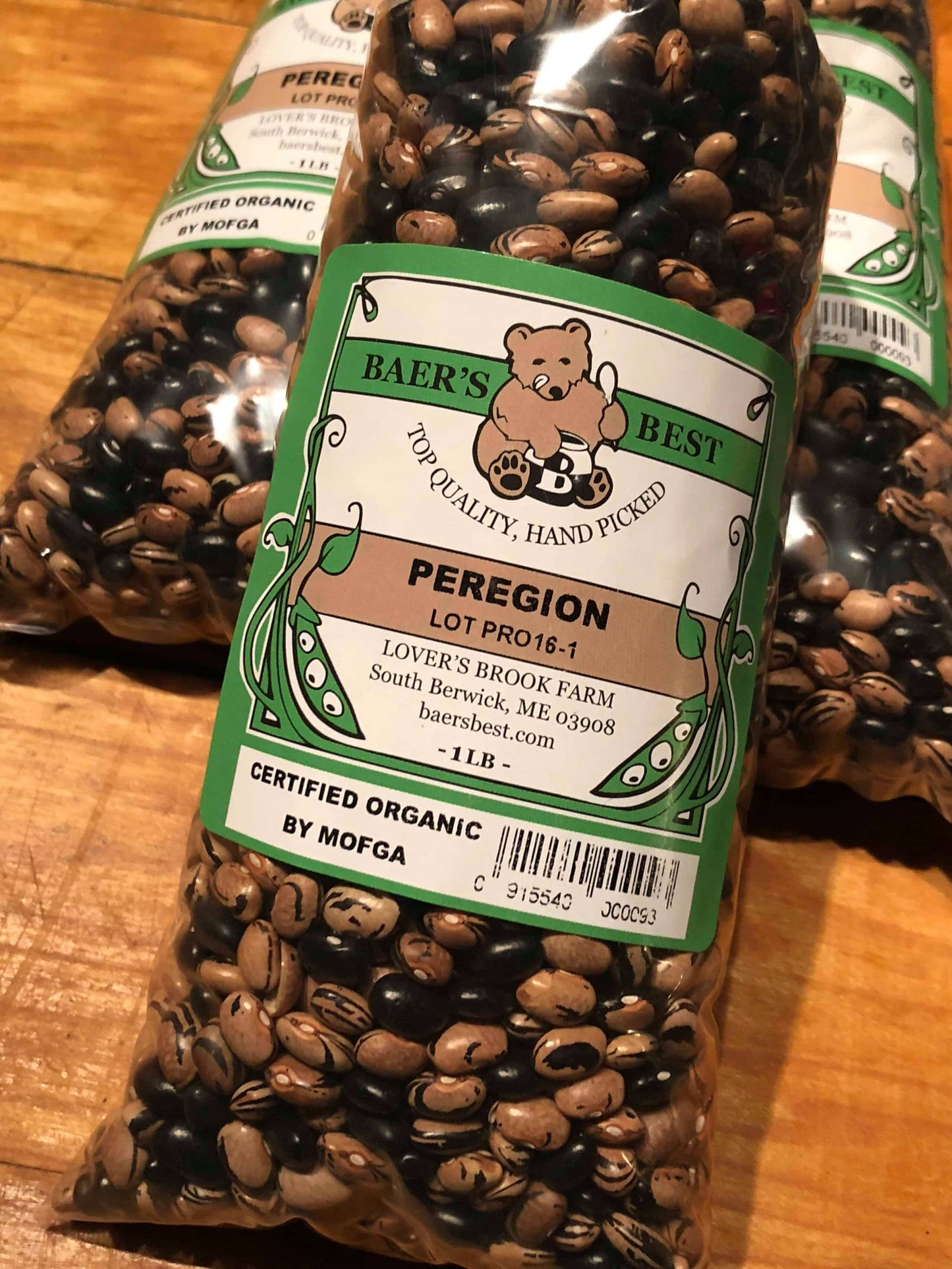 Perigion