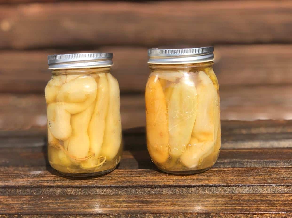 Pickled Sweet Romanian Peppers (aka Gogosari)