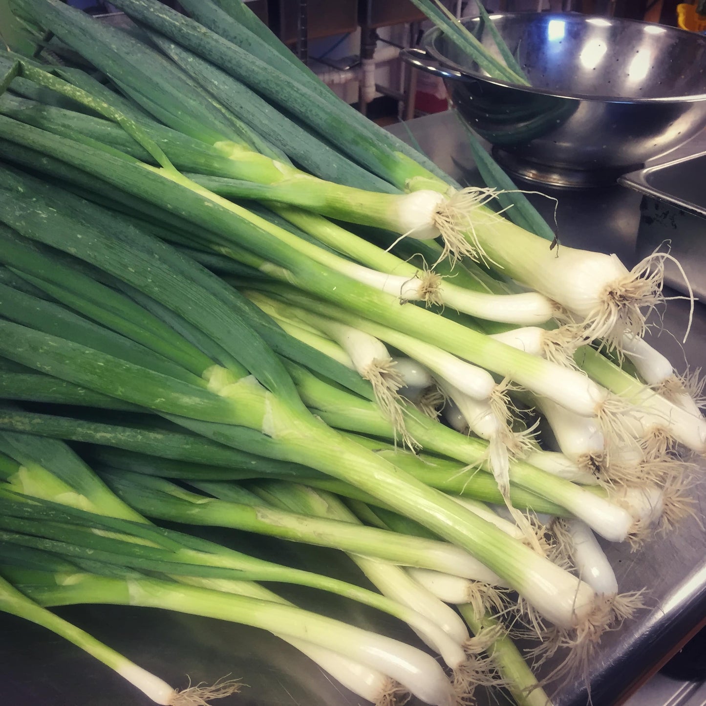 Charred Green Onion Dip-hidden