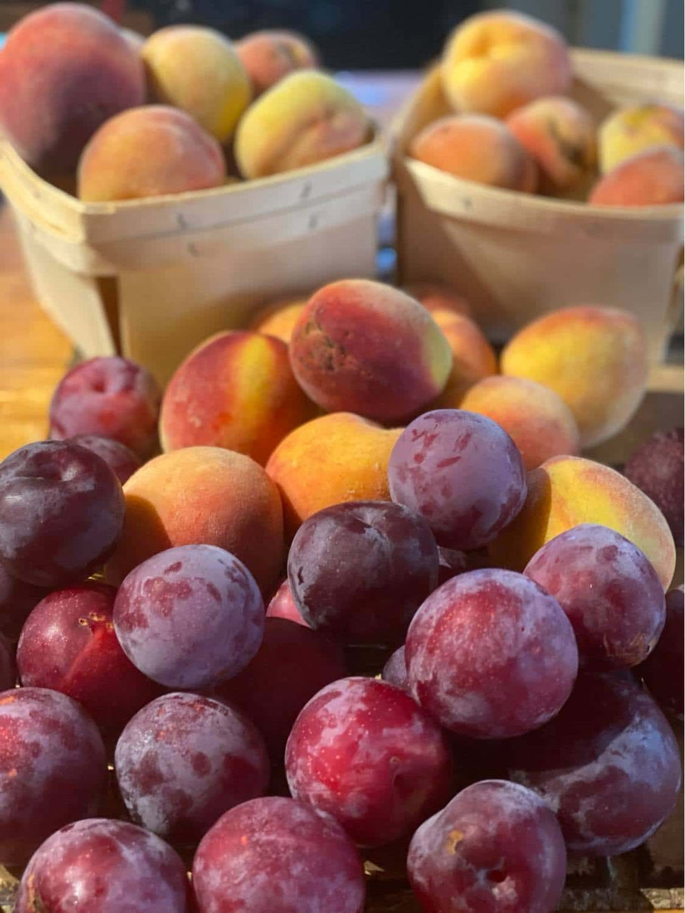 HomeGrown Shrubs HomeGrown Eats